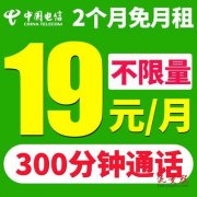 “电信大王卡”19元套餐版:电信大王卡19元套餐介绍（中国电信大王卡19元套餐